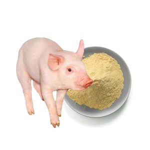Pig Feed Yeast
