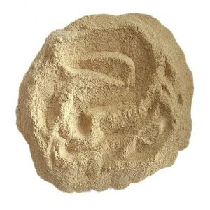 brewers yeast powder