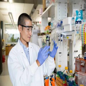 The Role of Yeast Culture in Reducing Feed Costs for Large-Scale Farms