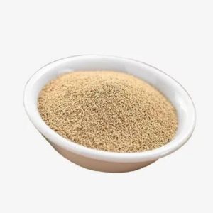 How Yeast Culture Enhances Gut Health in Poultry