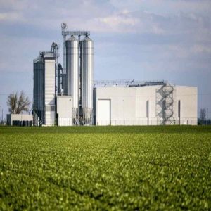 Improving Feed Efficiency and Weight Gain in Livestock with Yeast Culture