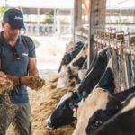 Yeast-Based Additives and Gut Microbiome Modulation