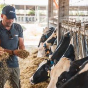 Yeast-Based Additives and Gut Microbiome Modulation