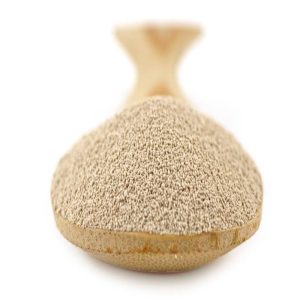 The Future of Swine Nutrition: Pig Yeast Culture and Beyond