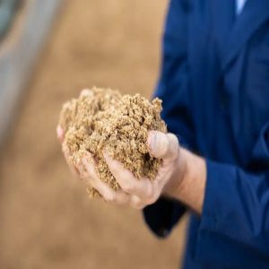 The Role of Fermented Ingredients in Next-Gen Animal Feed