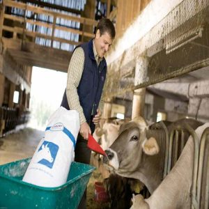 The Role of Yeast Culture in Modern Animal Nutrition