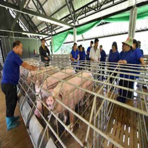 Choosing the Right Active Dry Yeast for Your Farm Operation