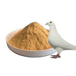 brewer yeast for pigeon