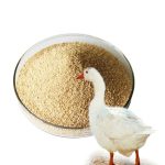 brewers yeast for ducks-Animal Feed Yeast-Yeast culture manufacturers
