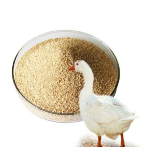 brewers yeast for ducks