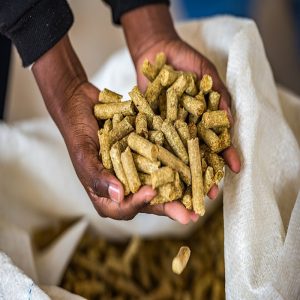 The Science Behind High-Performance Animal Feed Formulations