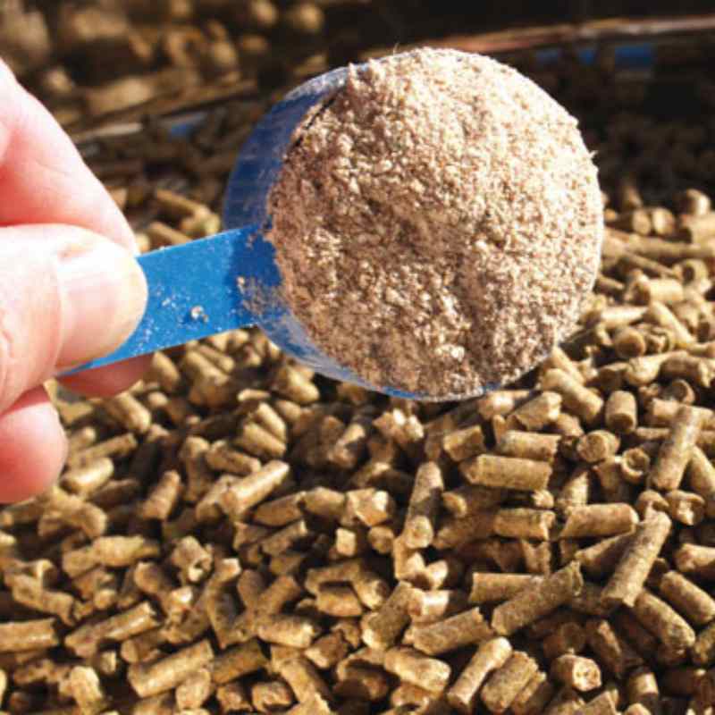 Yeast Culture as a Natural Immunomodulator